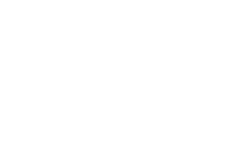 TBi - Bermuda Island logo